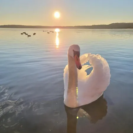 Jachimiowka - Dom Z Widokiem Na Jezioro Feriehus Pluski